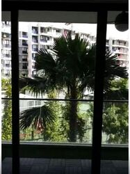 The Gale (D17), Condominium #578608751